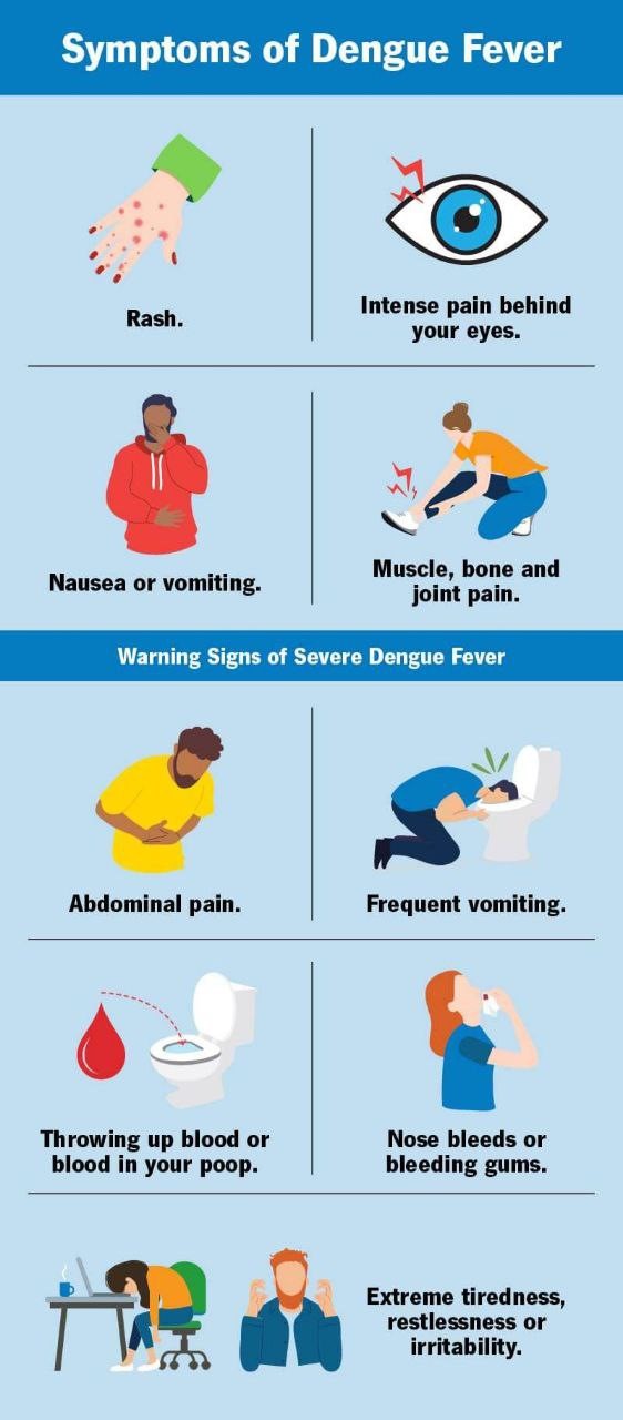 ”Dengue fever symptoms you should never ignore”